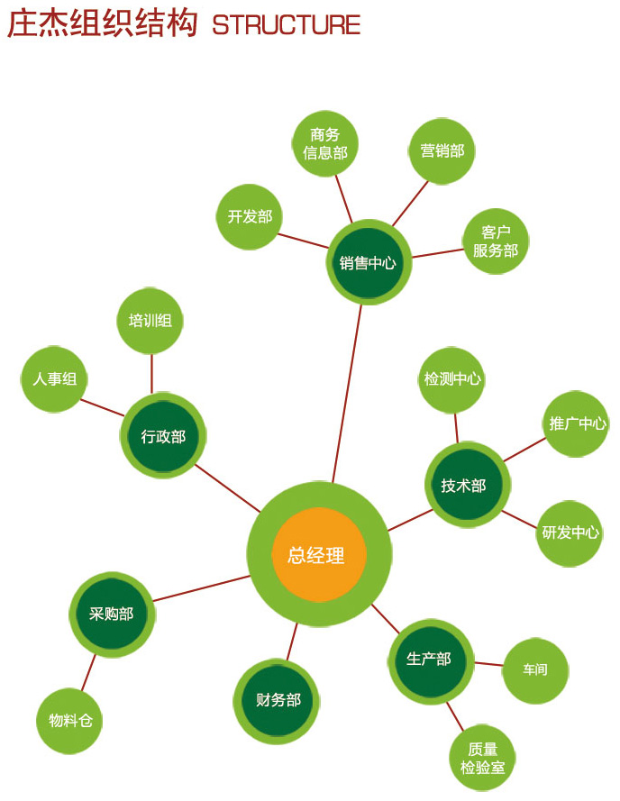 庄杰团队介绍