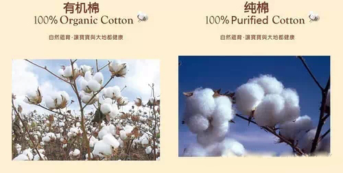 详解纯棉与有机棉的区别