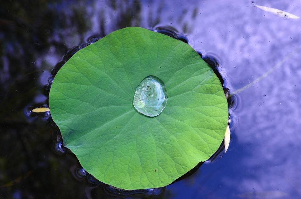 广州庄杰防水剂