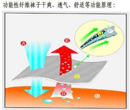 功能性吸湿排汗纤维的作用和用途