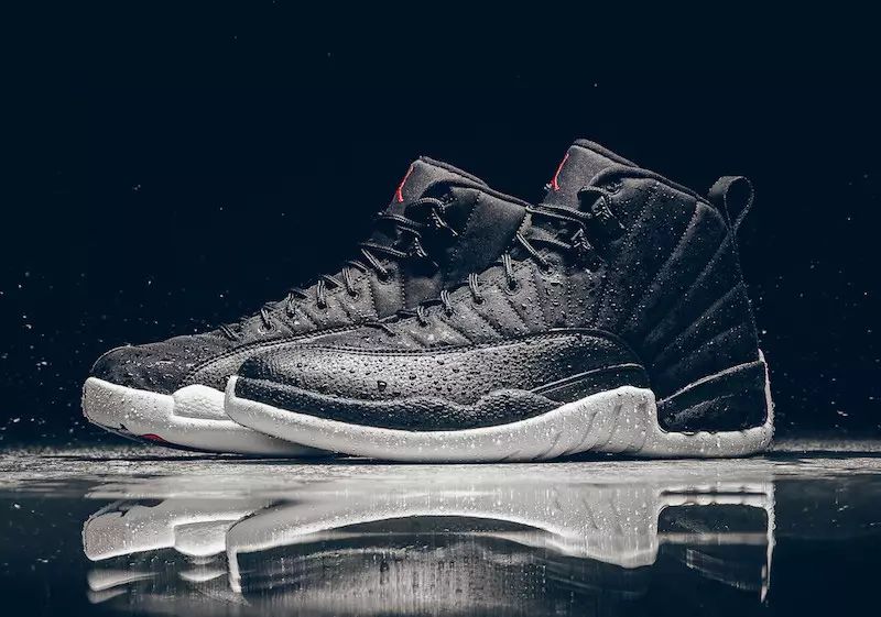 Air jordan 12 “Nylon”