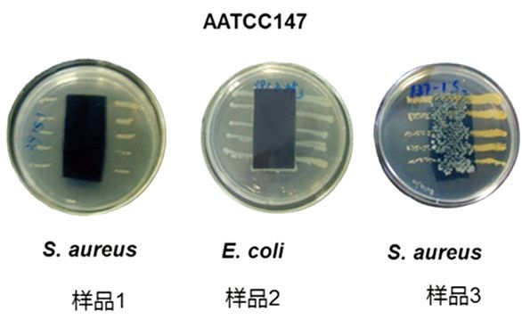 图1  AATCC 147测试结果