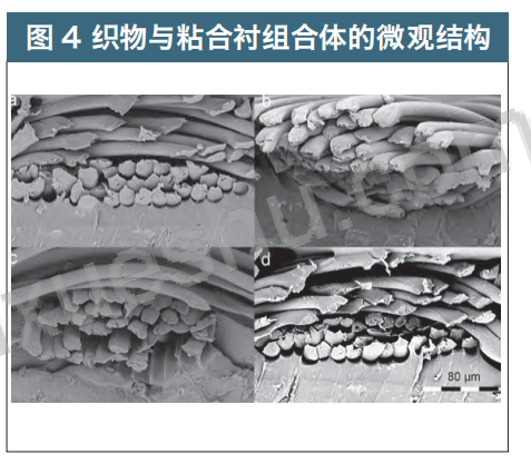  织物与粘合衬组合体的围观结构